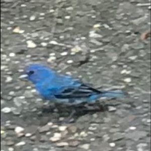 Meet your Posher, Marion